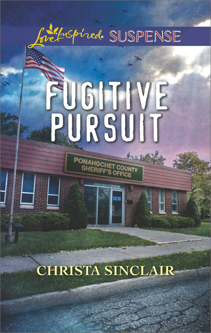 Скачать книгу Fugitive Pursuit