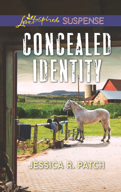 Скачать книгу Concealed Identity