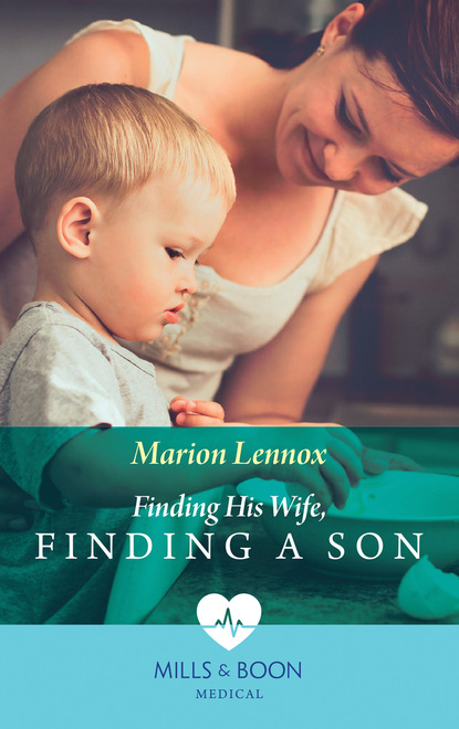 Скачать книгу Finding His Wife, Finding A Son