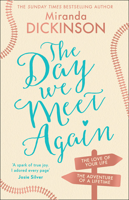 Скачать книгу The Day We Meet Again