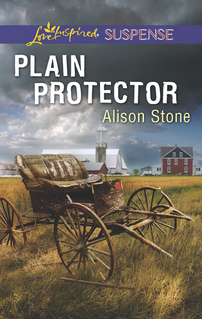 Скачать книгу Plain Protector