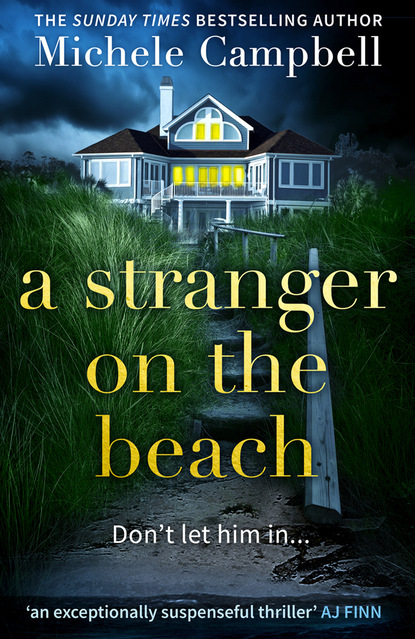 Скачать книгу A Stranger on the Beach