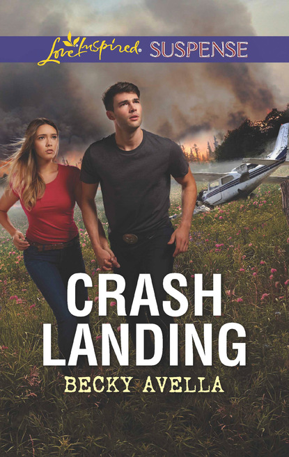 Скачать книгу Crash Landing