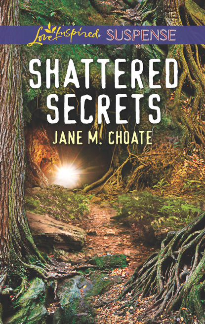Скачать книгу Shattered Secrets