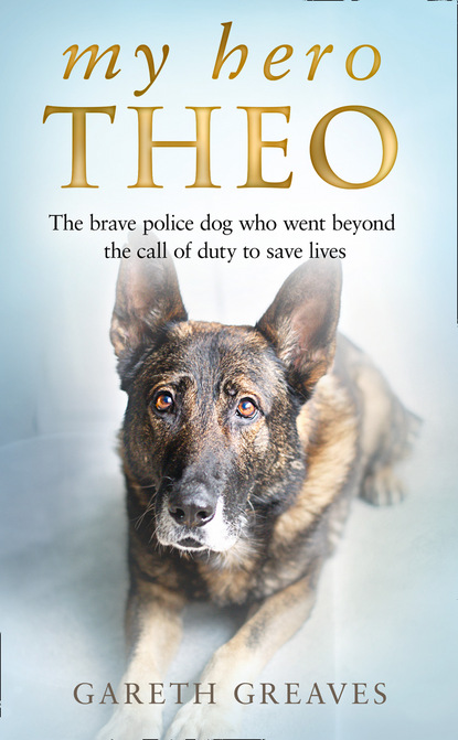 Скачать книгу My Hero Theo