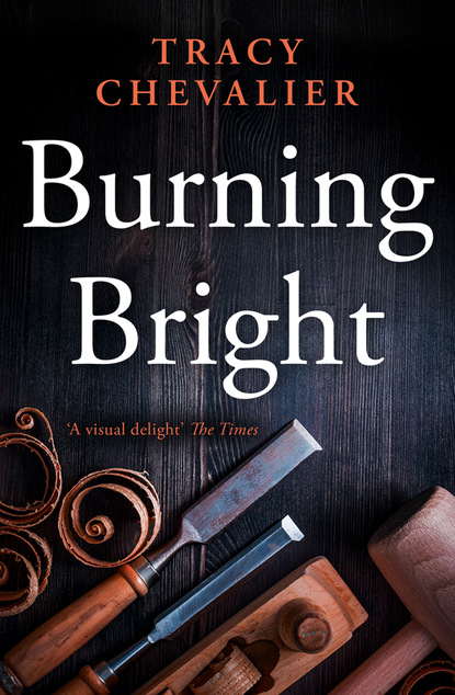 Скачать книгу Burning Bright