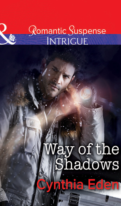 Скачать книгу Way of the Shadows