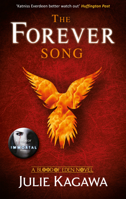 Скачать книгу The Forever Song