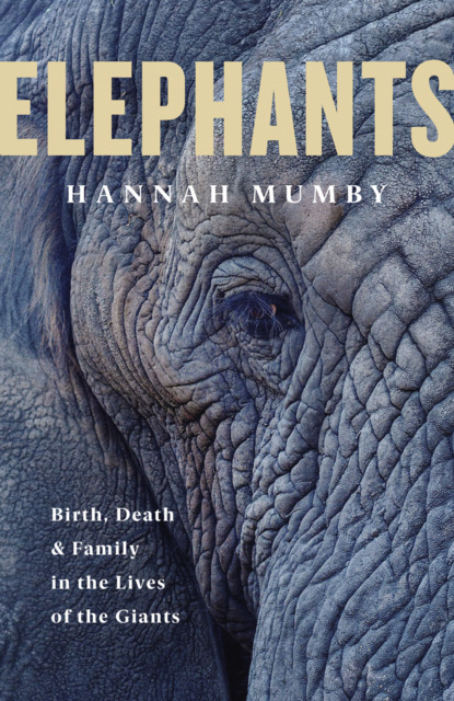 Скачать книгу The Secret Lives of Elephants