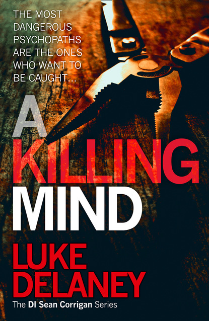 Скачать книгу A Killing Mind