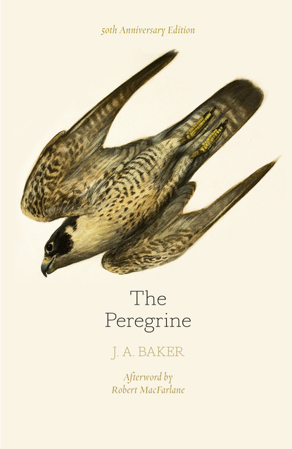 Скачать книгу The Peregrine: 50th Anniversary Edition