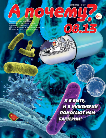 Скачать книгу А почему? №08/2013