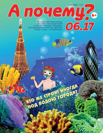 Скачать книгу А почему? №06/2017