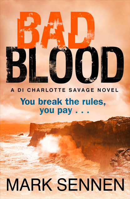 Скачать книгу BAD BLOOD: A DI Charlotte Savage Novel