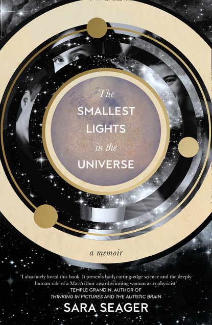 Скачать книгу The Smallest Lights In The Universe