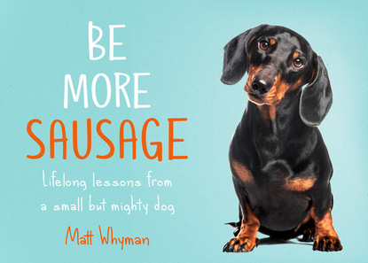 Скачать книгу Be More Sausage