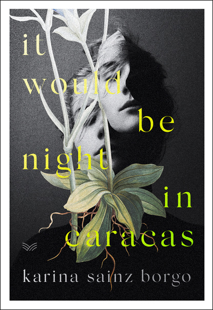 Скачать книгу It Would Be Night in Caracas
