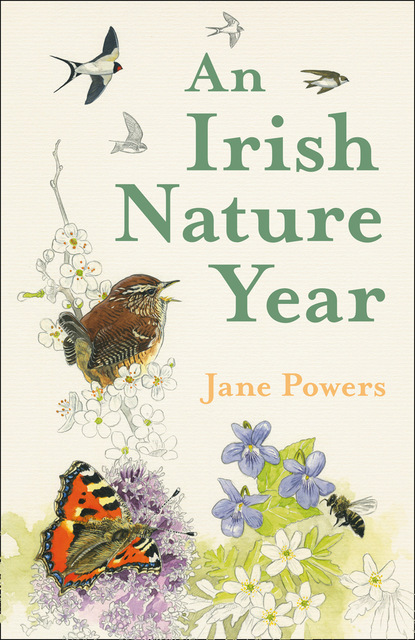 Скачать книгу An Irish Nature Year