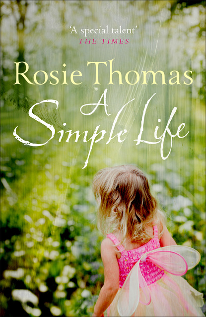 Скачать книгу A Simple Life