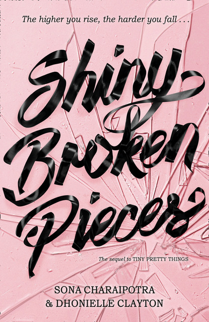 Скачать книгу Shiny Broken Pieces