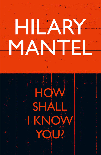 Скачать книгу How Shall I Know You?