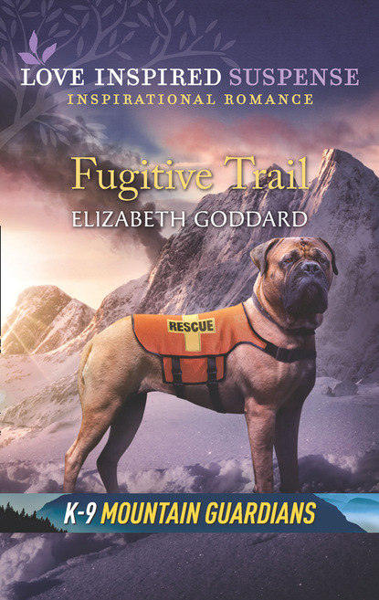 Скачать книгу Fugitive Trail