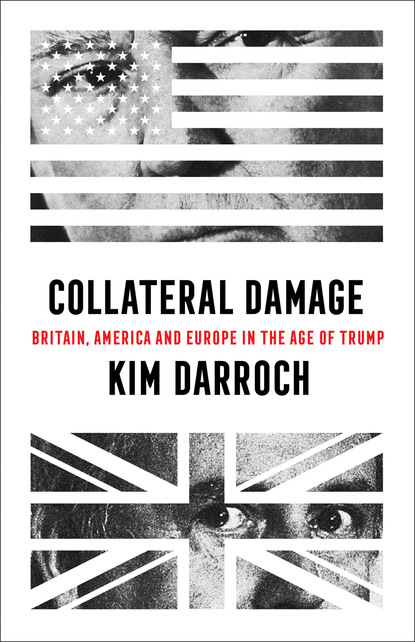 Скачать книгу Collateral Damage