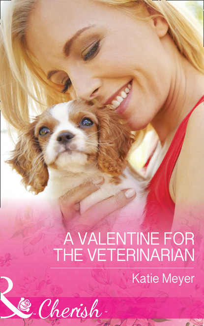 Скачать книгу A Valentine For The Veterinarian