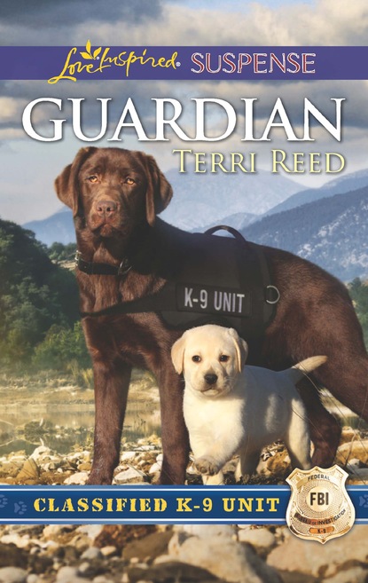 Скачать книгу Guardian