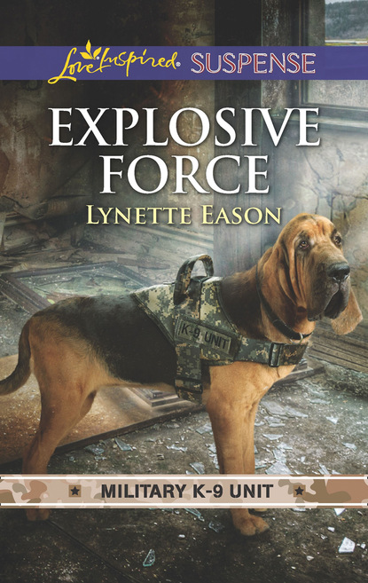 Скачать книгу Explosive Force