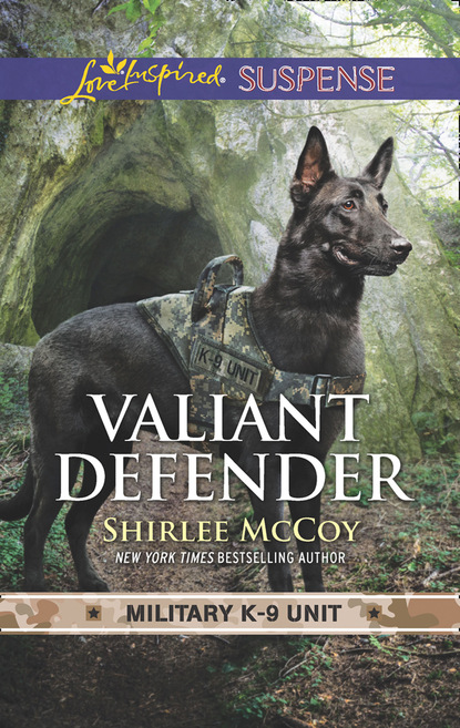 Скачать книгу Valiant Defender