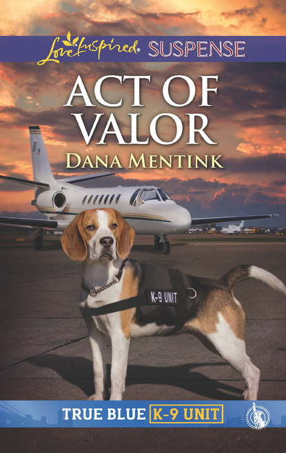 Скачать книгу Act Of Valor