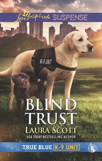 Скачать книгу Blind Trust