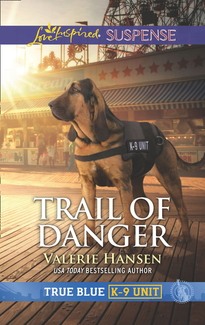 Скачать книгу Trail Of Danger
