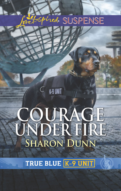 Скачать книгу Courage Under Fire