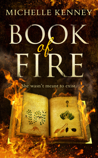Скачать книгу The Book of Fire series