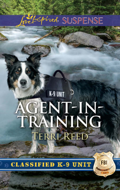 Скачать книгу Agent-In-Training
