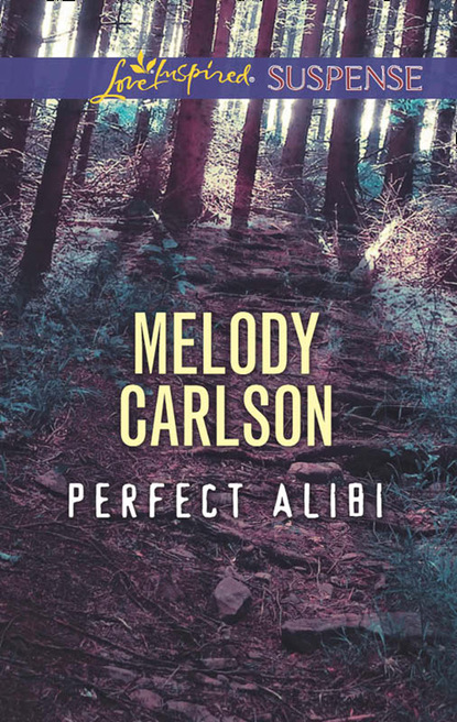 Скачать книгу Perfect Alibi