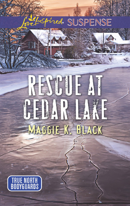 Скачать книгу Rescue At Cedar Lake