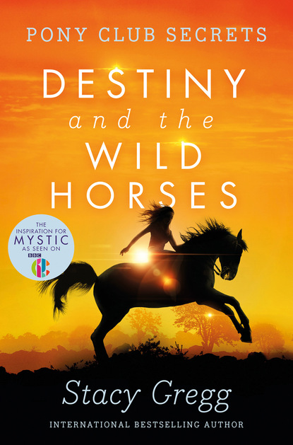 Скачать книгу Destiny and the Wild Horses