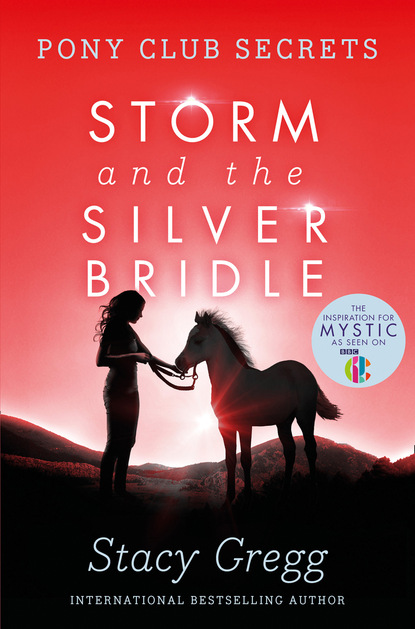 Скачать книгу Storm and the Silver Bridle