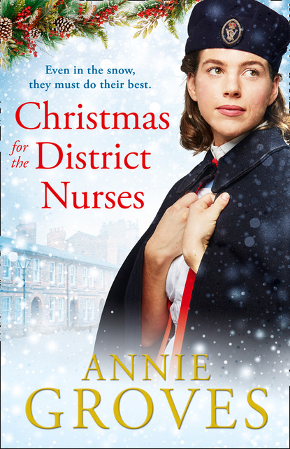 Скачать книгу The District Nurse