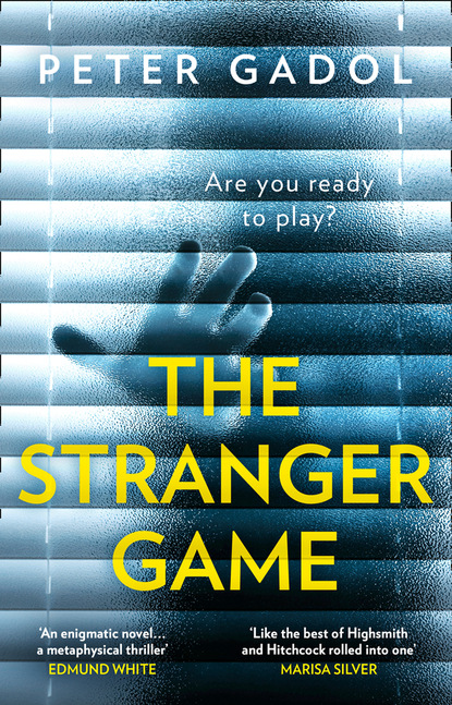 Скачать книгу The Stranger Game