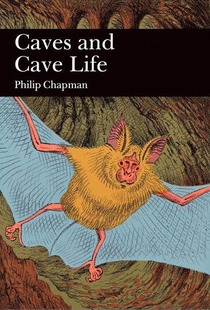 Скачать книгу Caves and Cave Life
