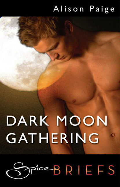 Скачать книгу Dark Moon Gathering