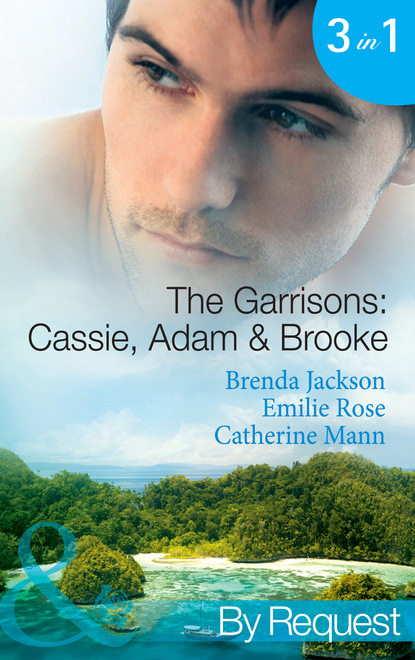 Скачать книгу The Garrisons: Cassie, Adam & Brooke