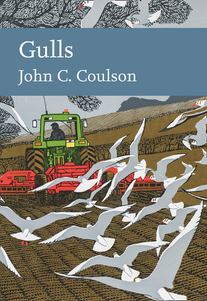 Скачать книгу Gulls