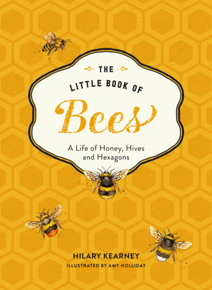 Скачать книгу The Little Book of Bees