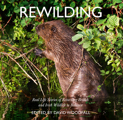 Скачать книгу Rewilding