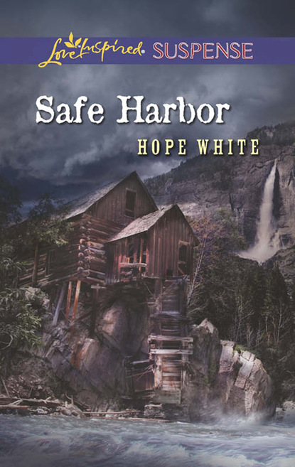 Скачать книгу Safe Harbor
